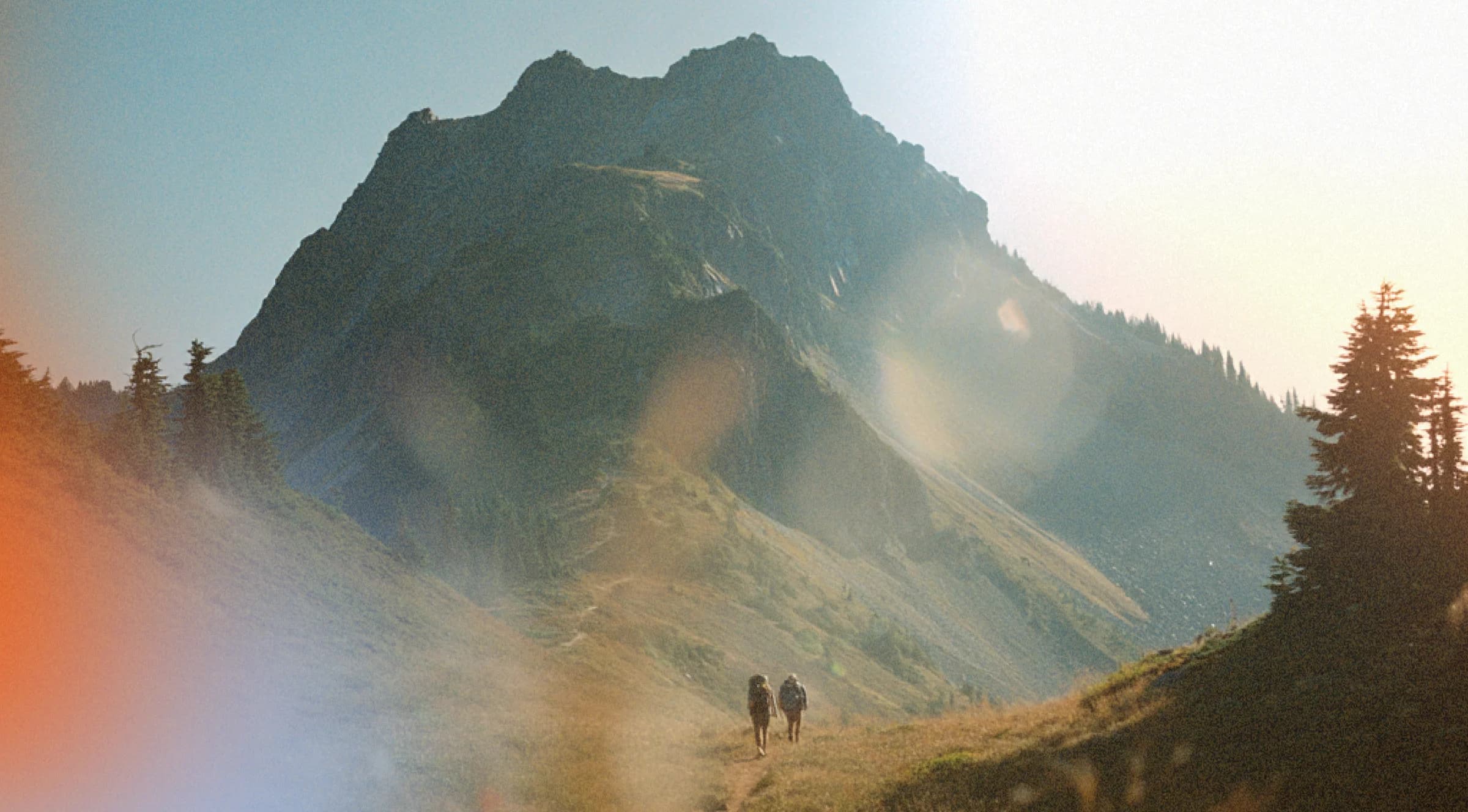 Why Faster Implementations = Bigger Wins: The Revenue Case for AI-Native Project Delivery